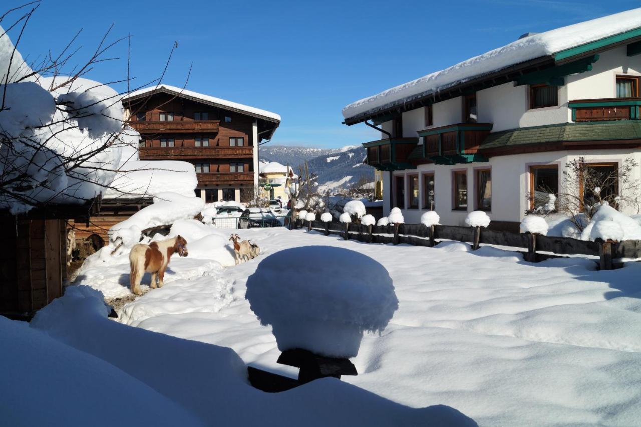 Sieglhub Chalets - Appartements - Hotel Flachau Luaran gambar