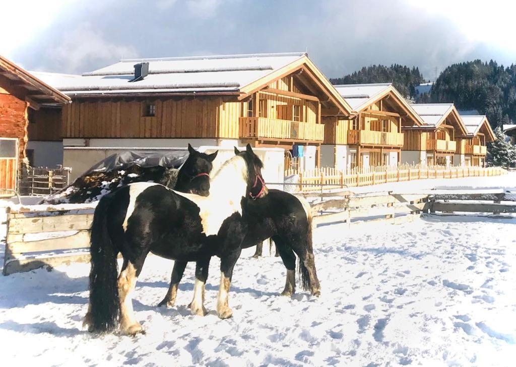 Sieglhub Chalets - Appartements - Hotel Flachau Luaran gambar